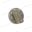 FRR1036