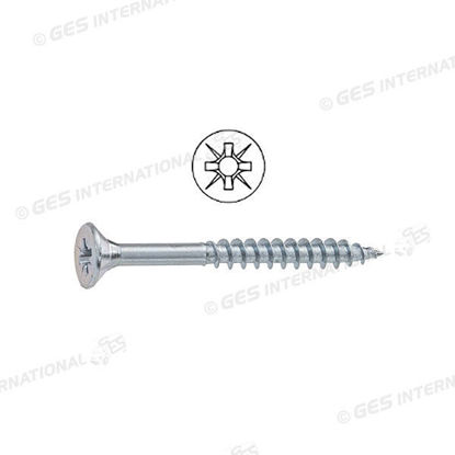 Immagine di Autofilettanti Pozidriv con foro